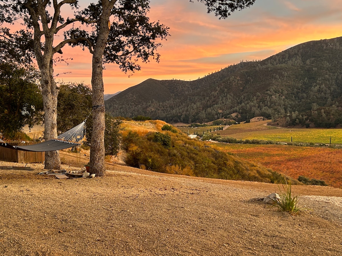 A hammock is strung between two large trees, providing a serene spot to relax amidst the natural landscape. The background features rolling hills and vibrant vineyards, bathed in the warm colors of sunset, enhancing the tranquil setting.