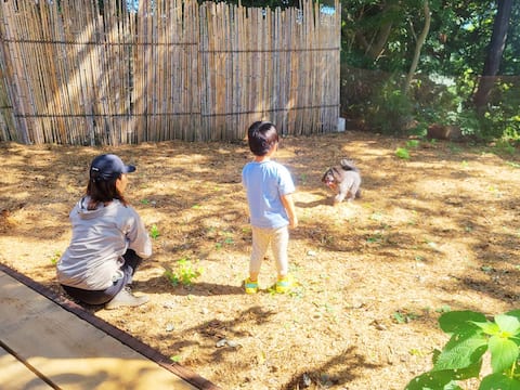 Glamping with a view of the sea, tent with a private dog run