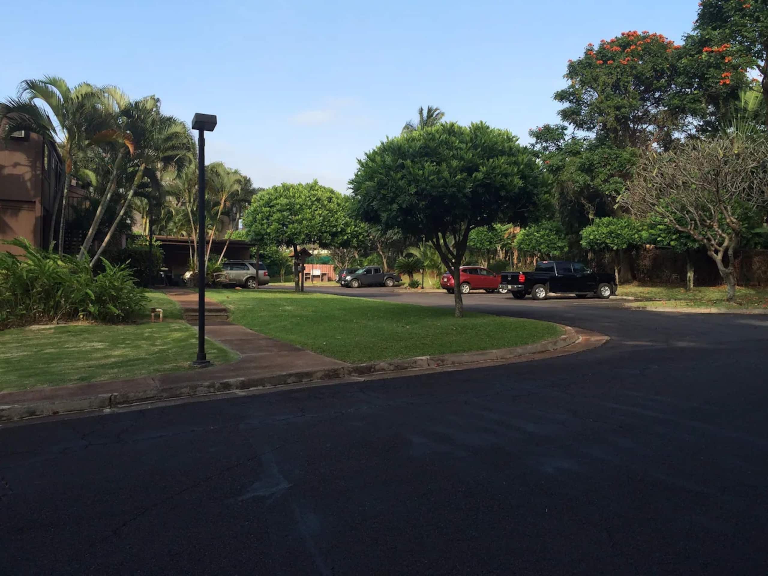 Home in Lahaina · ★5.0 · 1 bedroom · 1 bed · 1 shared bath - Image 17