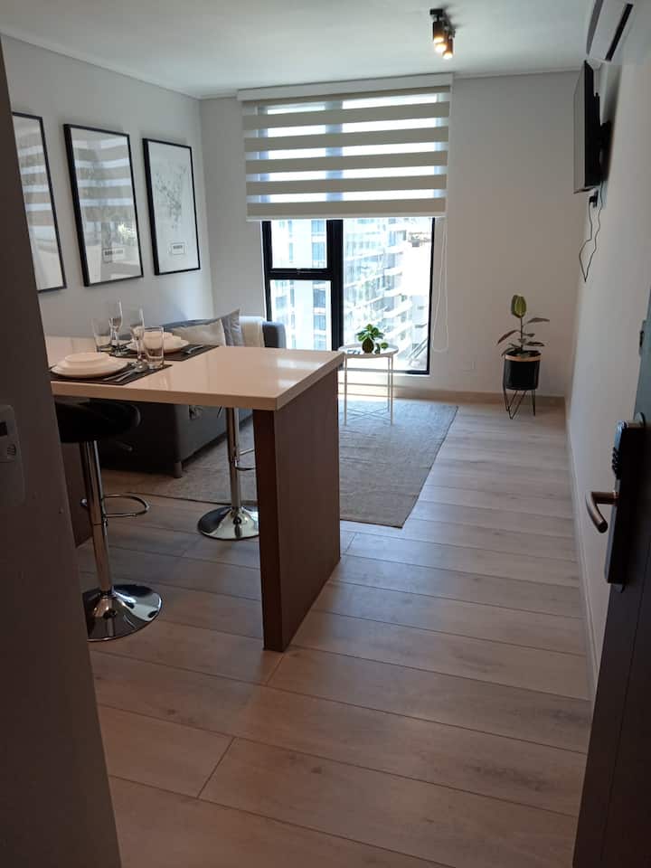 Apart Hotel Departamento Standard (1 Dormitorio) - Providencia