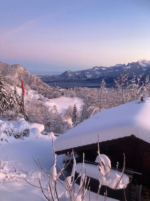 Torgon Chalet Portes du Soleil lake view