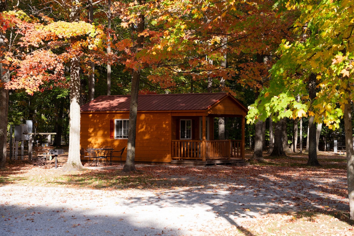 A cozy wooden cabin is nestled among colorful autumn foliage, with vibrant orange and yellow leaves framing its exterior. A porch with wooden railings is visible, alongside a small seating area. The gravel pathway leads up to the cabin, blending peacefully with the natural surroundings.