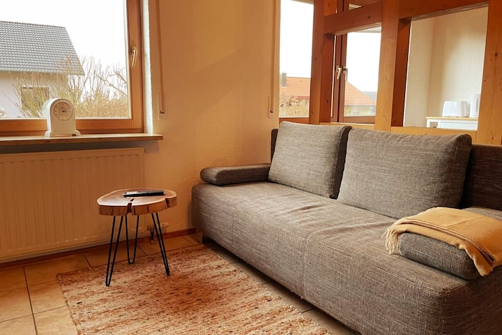 Გასაშლელი დივანი, ასევე, მაქსიმუმ 2 ადამიანისთვისაა განკუთვნილი