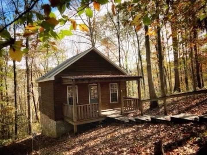 Hawk's Nest; Cozy Cabin w/Hot Tub Cabins for Rent in Elkin, North