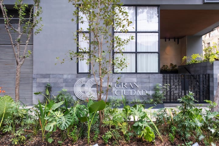 Gran Ciudad Chapultepec managed Airbnb listing 3