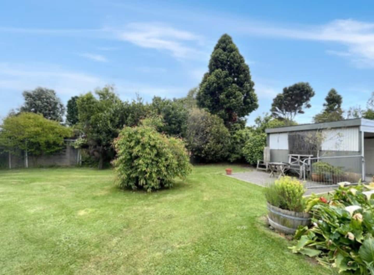 Peaceful In Palmy 3