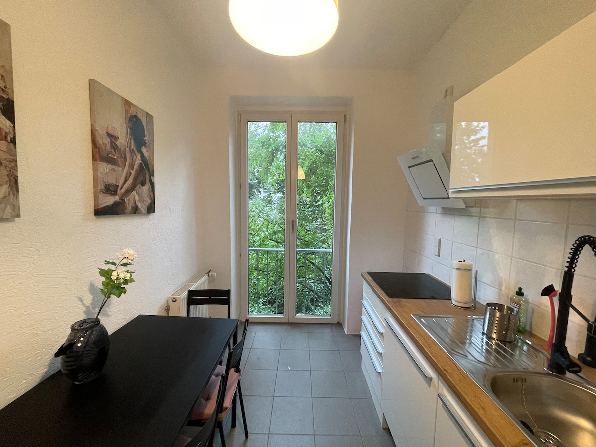 Entire apartment in the city center