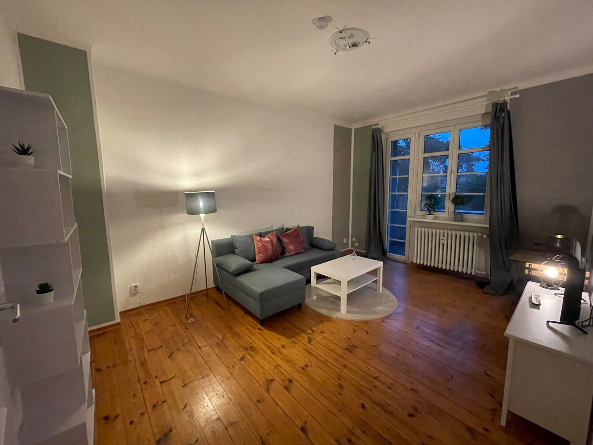Entire apartment in the city center