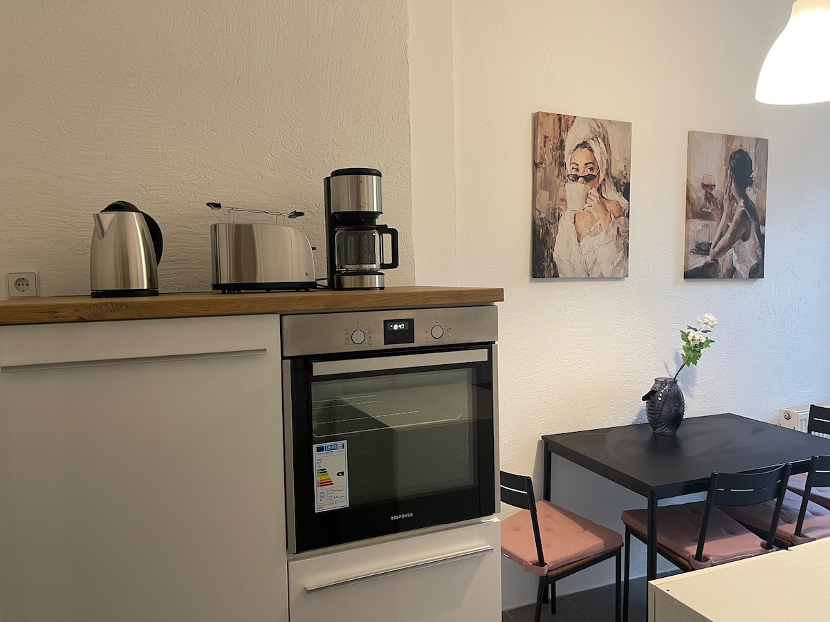 Entire apartment in the city center