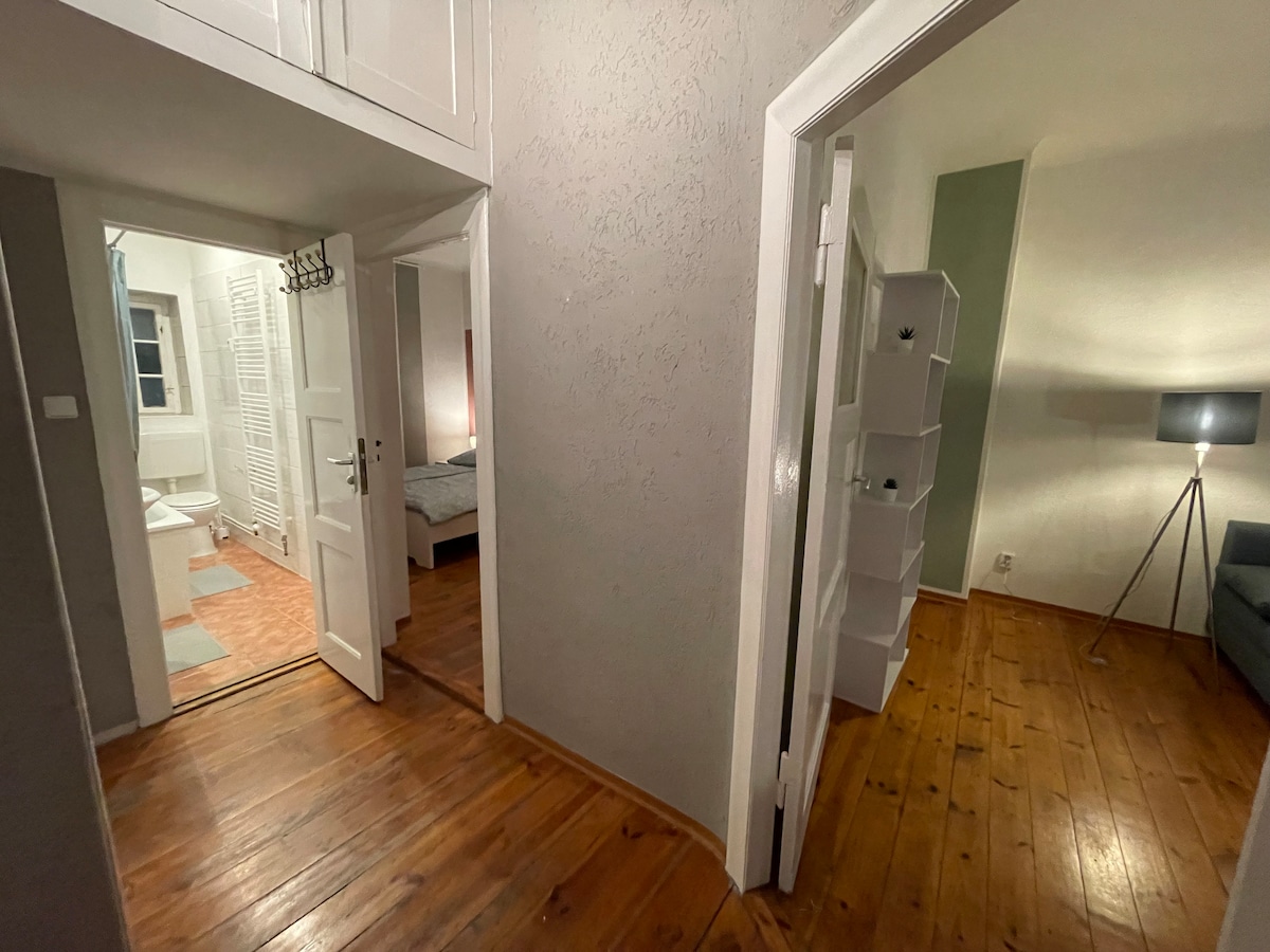 Entire apartment in the city center