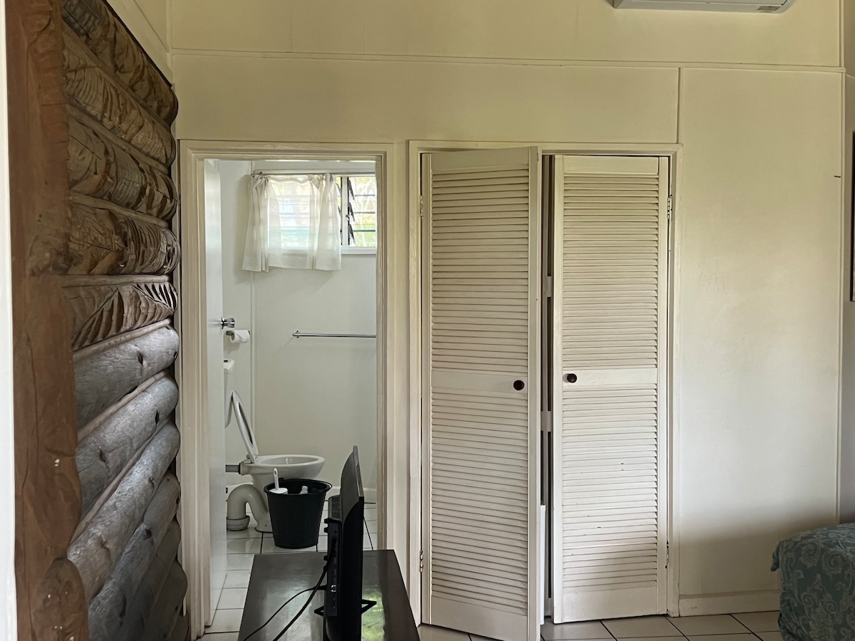 A cozy interior is highlighted by a wooden wall and a view into a compact bathroom area. Two doors with white louvered panels offer storage space, and a television sits against the wall, providing entertainment options.