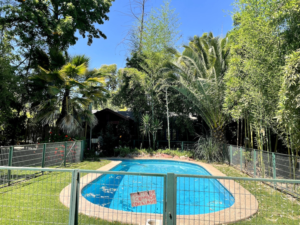 A fenced swimming pool is surrounded by lush greenery, including tall palm and bamboo trees. The bright blue water of the pool reflects the clear sky, with natural elements creating a serene environment for relaxation.