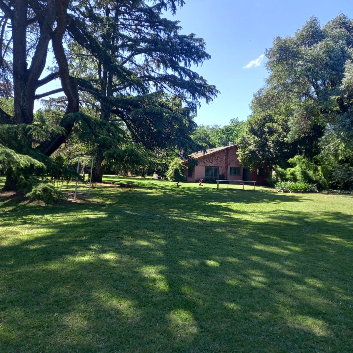 A spacious yard is surrounded by tall trees, providing ample shade on the well-maintained grass. A rustic house is visible in the background, with large windows that complement the natural setting.