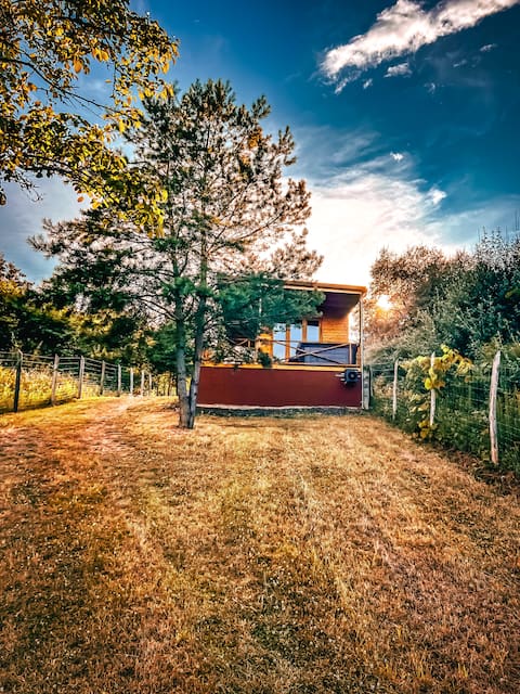 Nature&Chill Treehouses