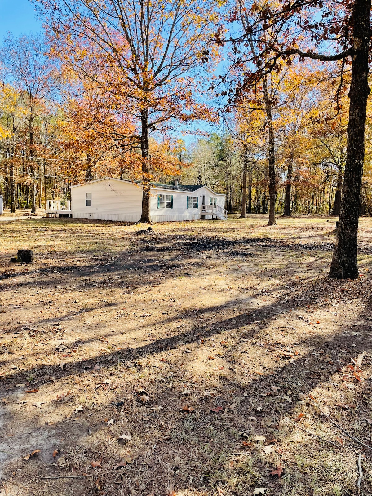 A cozy home is nestled among trees showcasing autumn foliage. The exterior is light-colored, providing a contrast against the earthy tones of the ground. Shadows from the trees stretch across the yard, creating a serene environment suitable for outdoor relaxation.