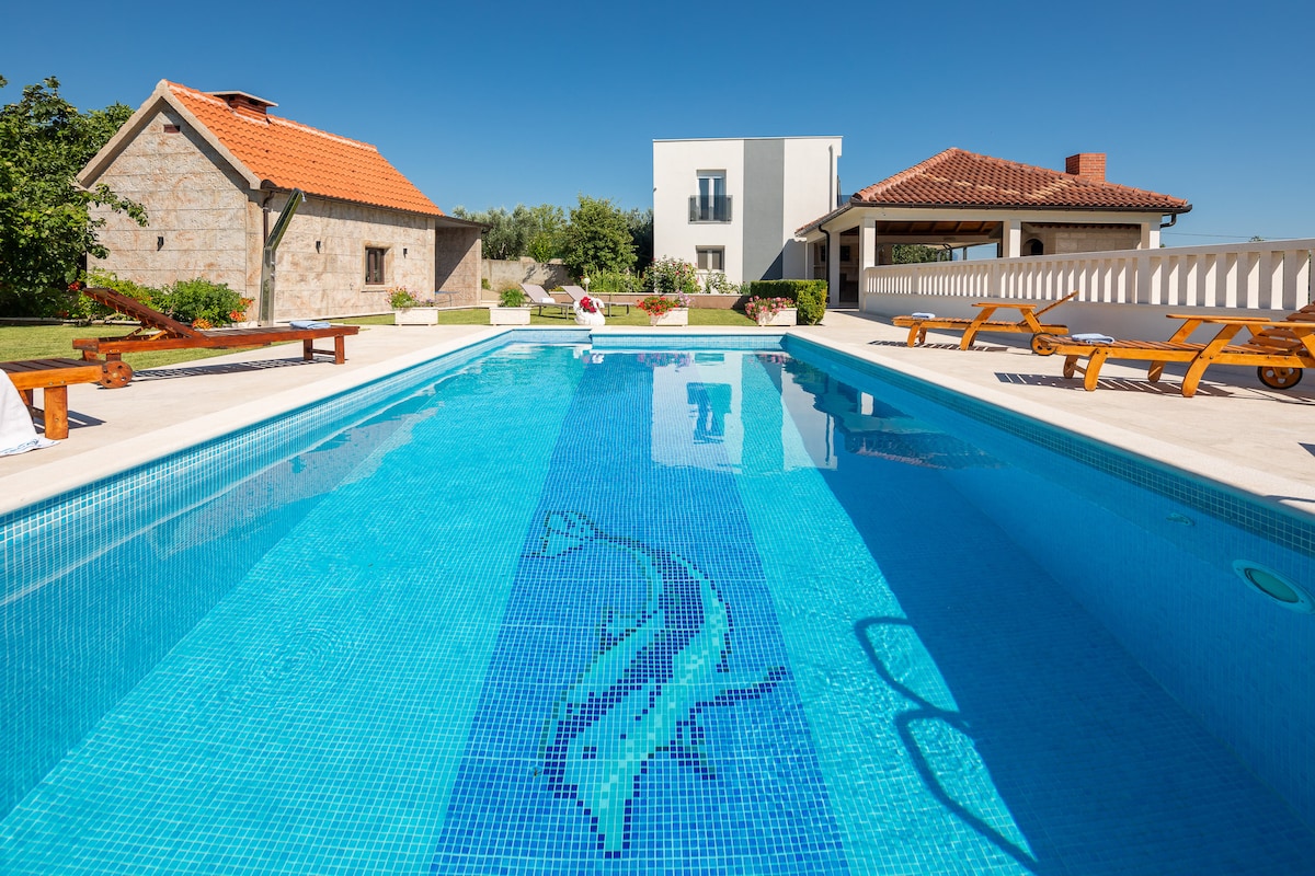 A large private pool with a tiled dolphin design is surrounded by sun loungers and embraced by a landscaped area. In the background, two distinct buildings showcase traditional and modern architecture under a clear blue sky.