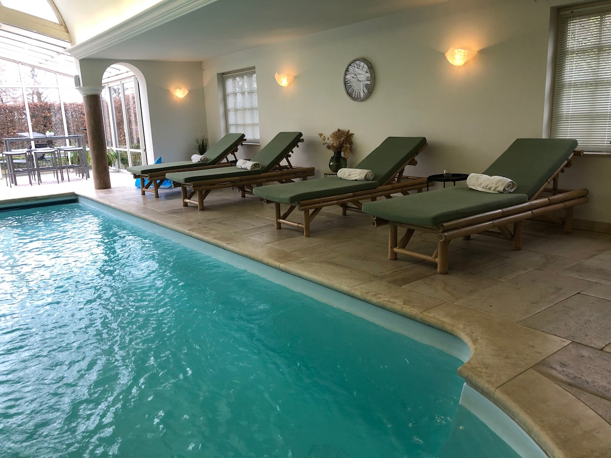 An indoor swimming pool area is highlighted by a sparkling blue pool. Four lounge chairs with green cushions are positioned alongside the pool, with neatly rolled towels resting on each. Natural light enters through large windows, creating a serene environment.