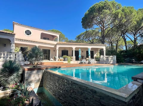 The Whisper of the South