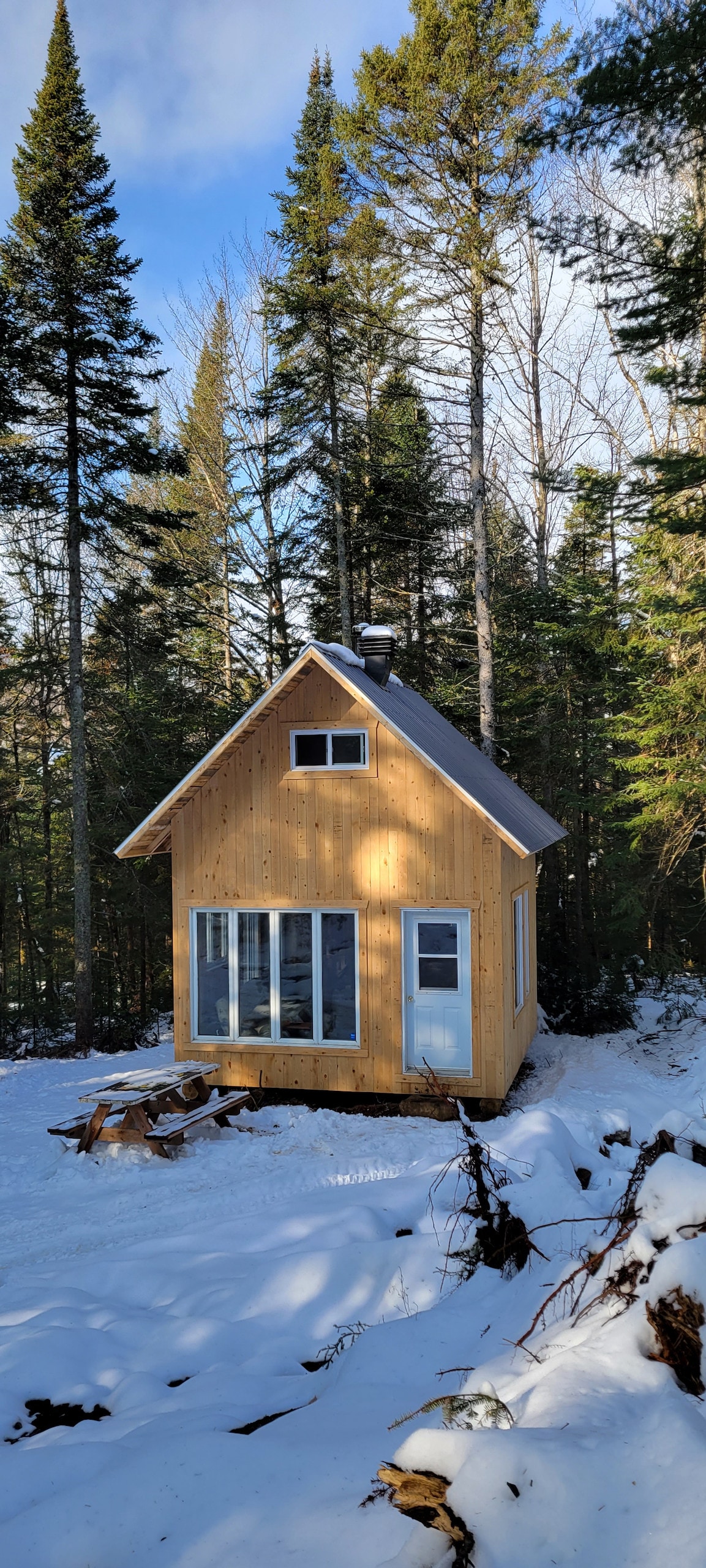A charming wooden cabin is nestled among tall trees, surrounded by a blanket of snow. The structure features a sloped roof and a large front window, allowing natural light to fill the interior. Pine trees frame the scene, adding to the serene ambiance.