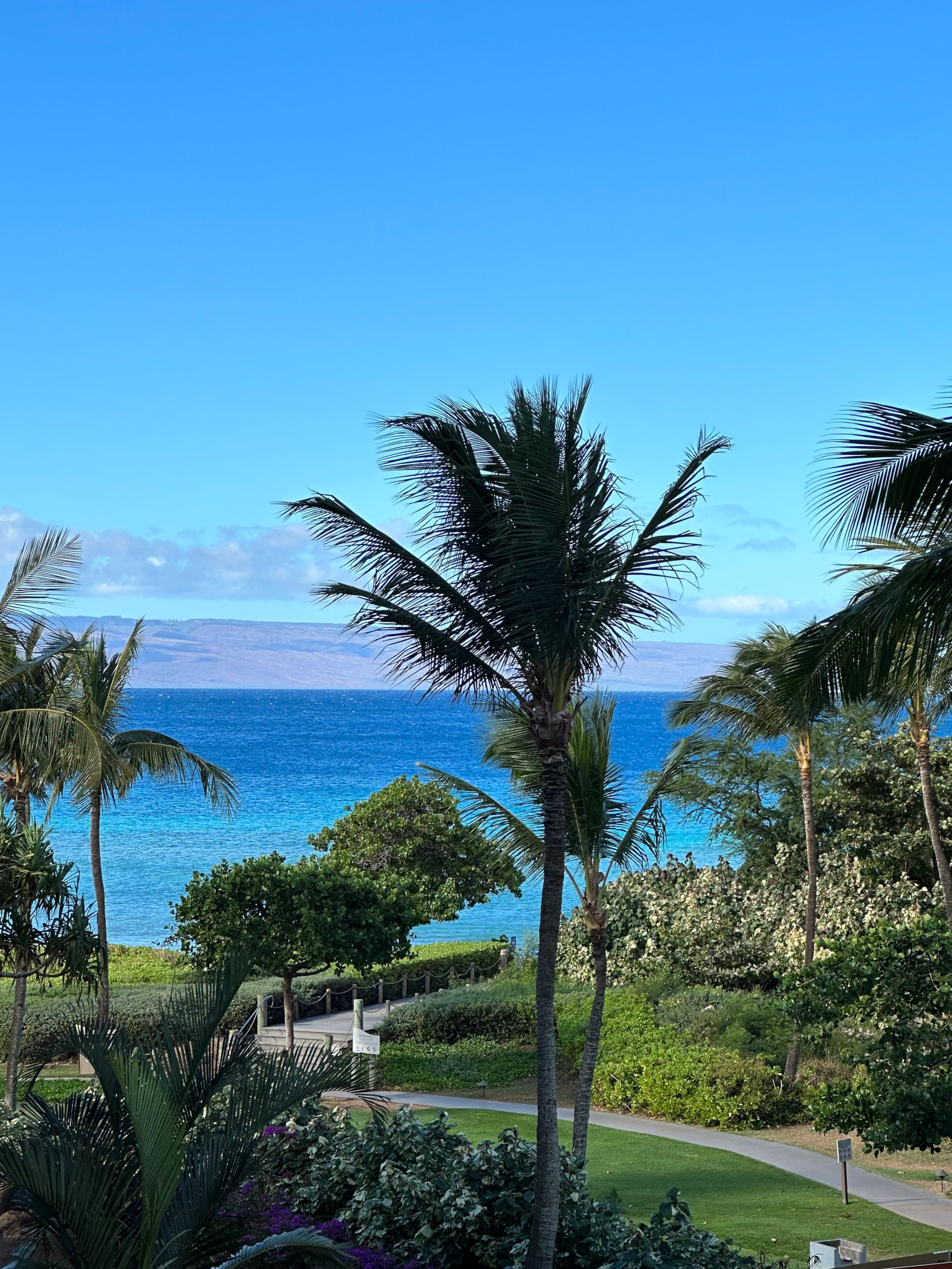 Condo in Lahaina · ★5.0 · 1 bedroom · 2 beds · 1 bath - Image 33