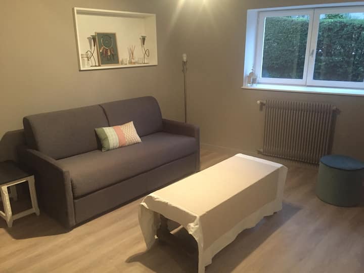 Appartement T2 - Collonges-au-Mont-d'Or