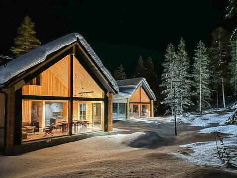 Modern ski-in villa with unique view
