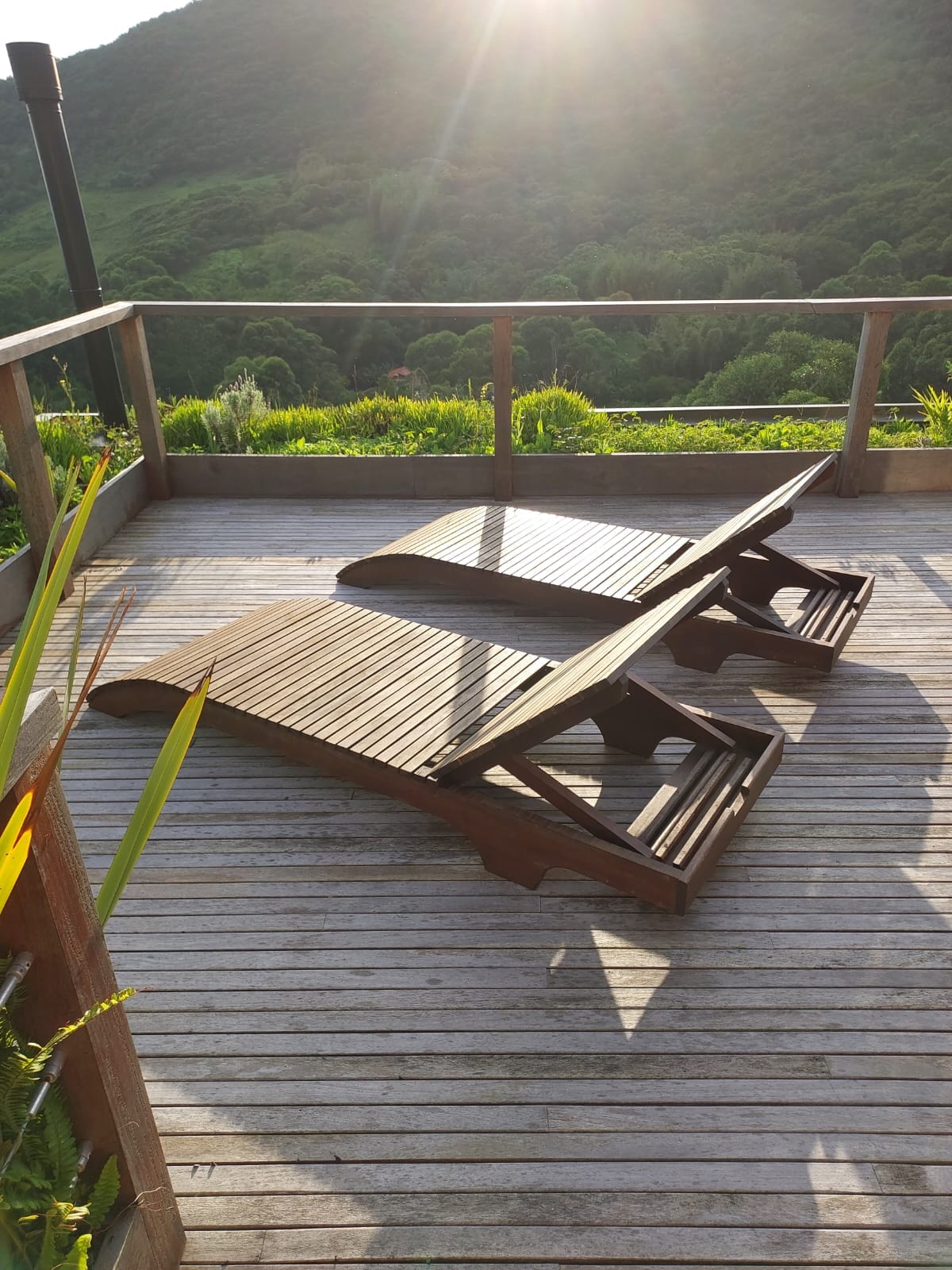 Two wooden lounge chairs are positioned on a sunlit wooden deck, facing a green hillside. The sunlight highlights the texture of the deck and the surrounding foliage, creating a serene outdoor space for relaxation.