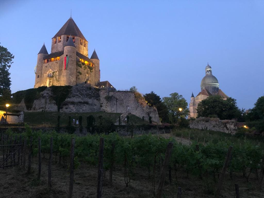 An illuminated medieval castle stands atop a hill at dusk, featuring turrets and a fortified wall. In the foreground, a vineyard is visible with rows of grapevines. A domed structure can be seen to the right, surrounded by trees, enhancing the historic ambiance.