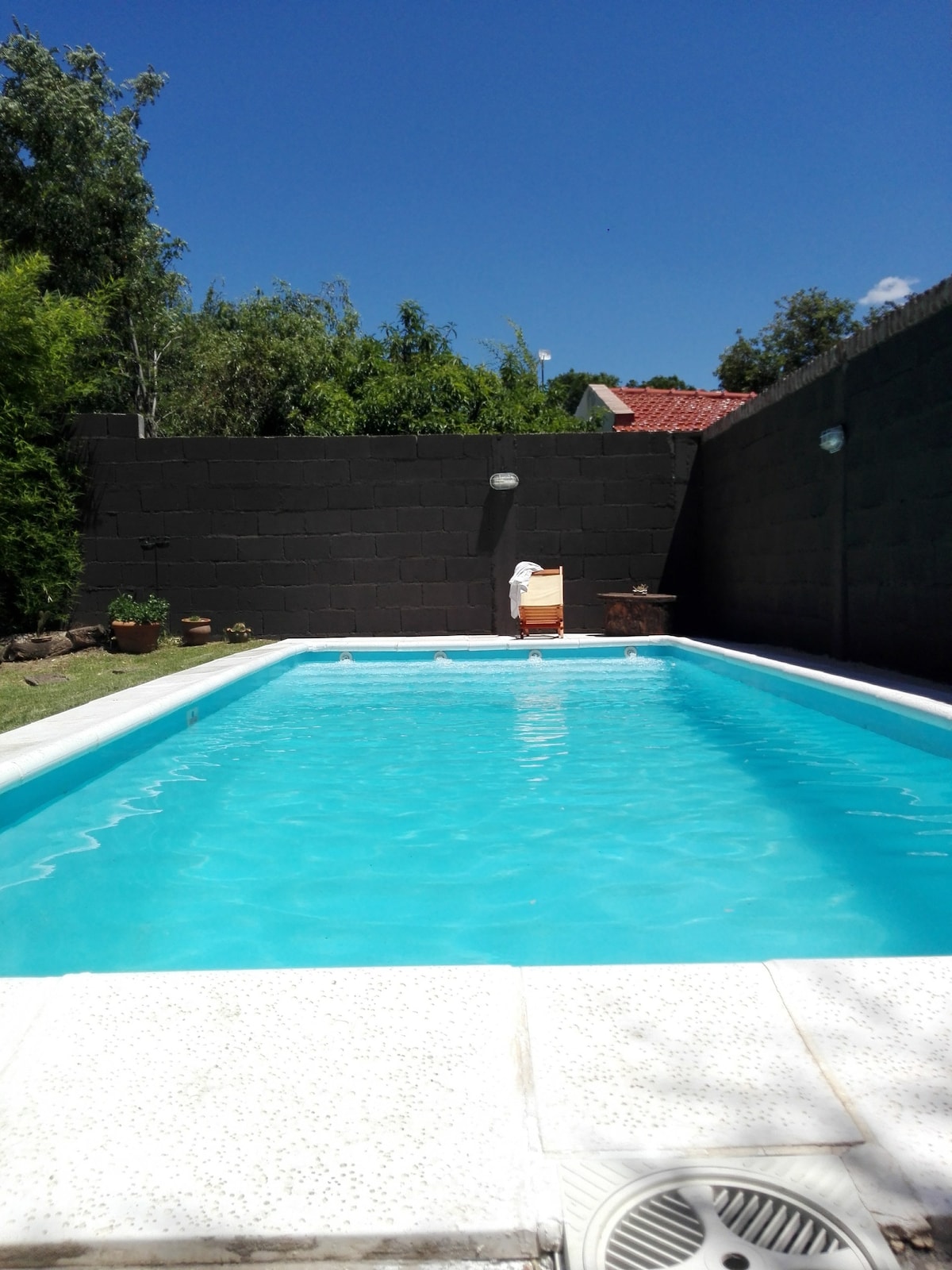 A refreshing swimming pool is surrounded by lush greenery and a black wall. Sunlight reflects off the clear water, while a lounge chair is positioned at the pool's edge. Potted plants add a touch of nature to the serene setting.