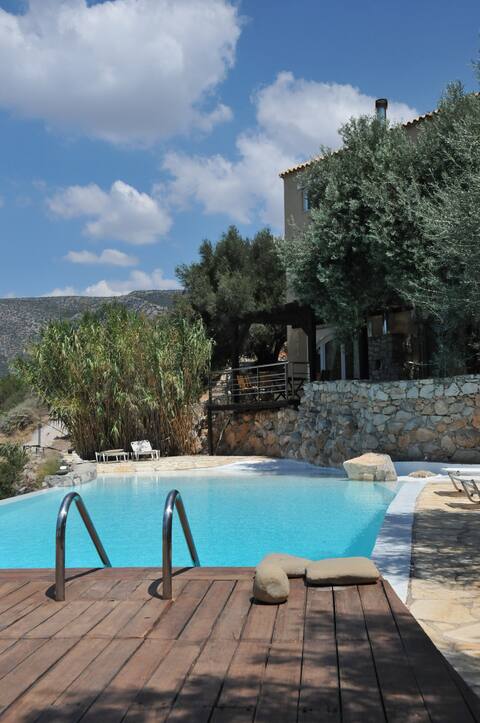 Melolia's Amazing Pool Views B2