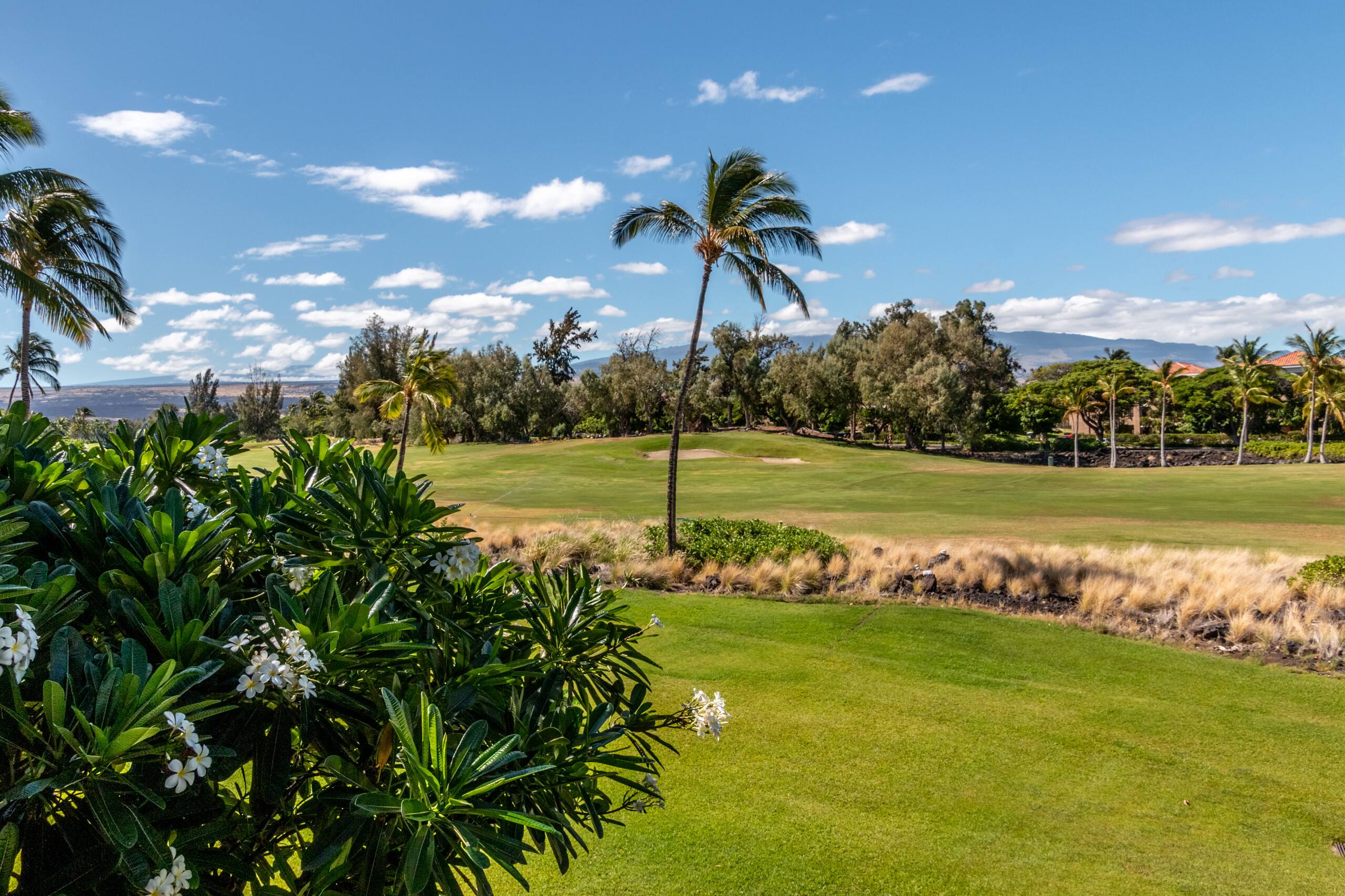 Condo in Waikoloa Village · ★5.0 · 2 bedrooms · 4 beds · 2.5 baths - Photo 18