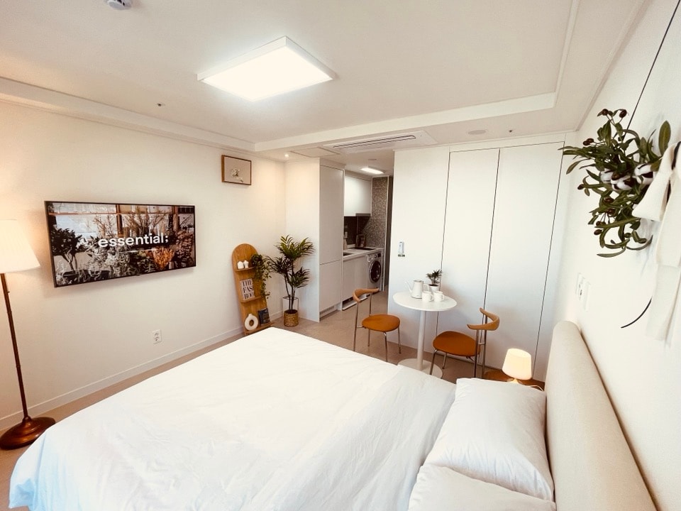 A bright room features a spacious bed with white linens, complemented by two modern chairs and a small table. A wall-mounted TV displays a nature scene, while plants add a touch of greenery. The open layout connects to a kitchenette in the background.