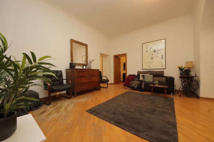 Giant Borghese Apartment gallery image 2