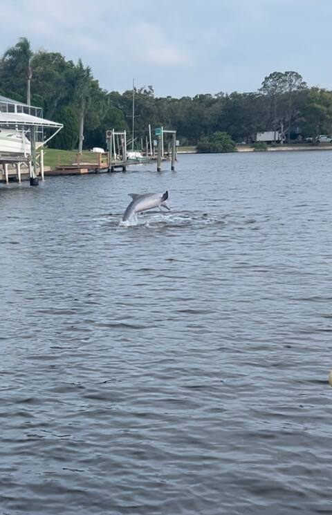 Gentle Water Way to Tarpon/Pool/Spa/Kayaks