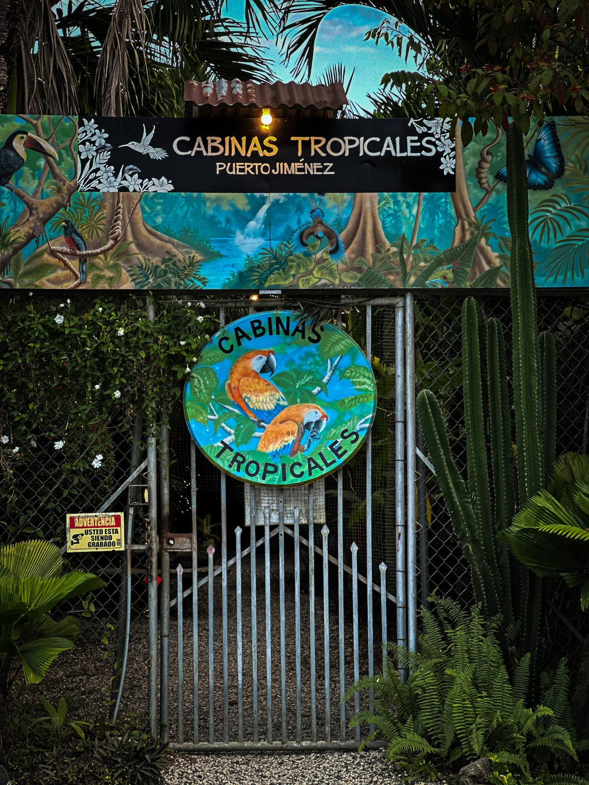 The entrance to Cabinas Tropicales features a colorful sign adorned with tropical motifs, welcoming guests. A vibrant circular mural displays local wildlife, with lush greenery and cacti framing the entrance, creating an inviting atmosphere in a natural setting.