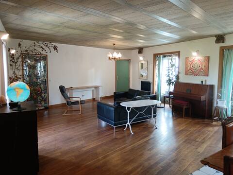 Loft apartment, entire place