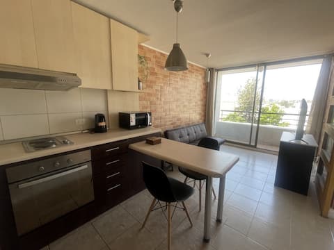 Apartment in Pasos de Metro.