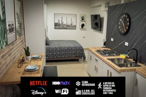 Luxurious apartment near the consulate.