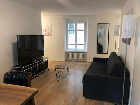 Top Airbnb: Fantastic 2BR flat close to Paradeplatz (Canal2) in Enge