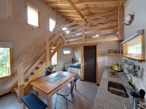 Top performing Airbnb: El Piche Spectacular cabin for 2/3 in El Chaltén