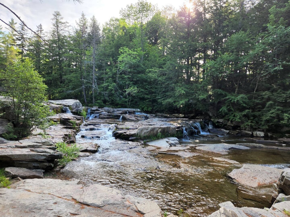 A serene natural setting is depicted, featuring smooth rocks beside a gently flowing stream. Sunlight filters through the surrounding trees, illuminating the water and creating a peaceful atmosphere. Lush greenery envelops the scene, enhancing the sense of tranquility.