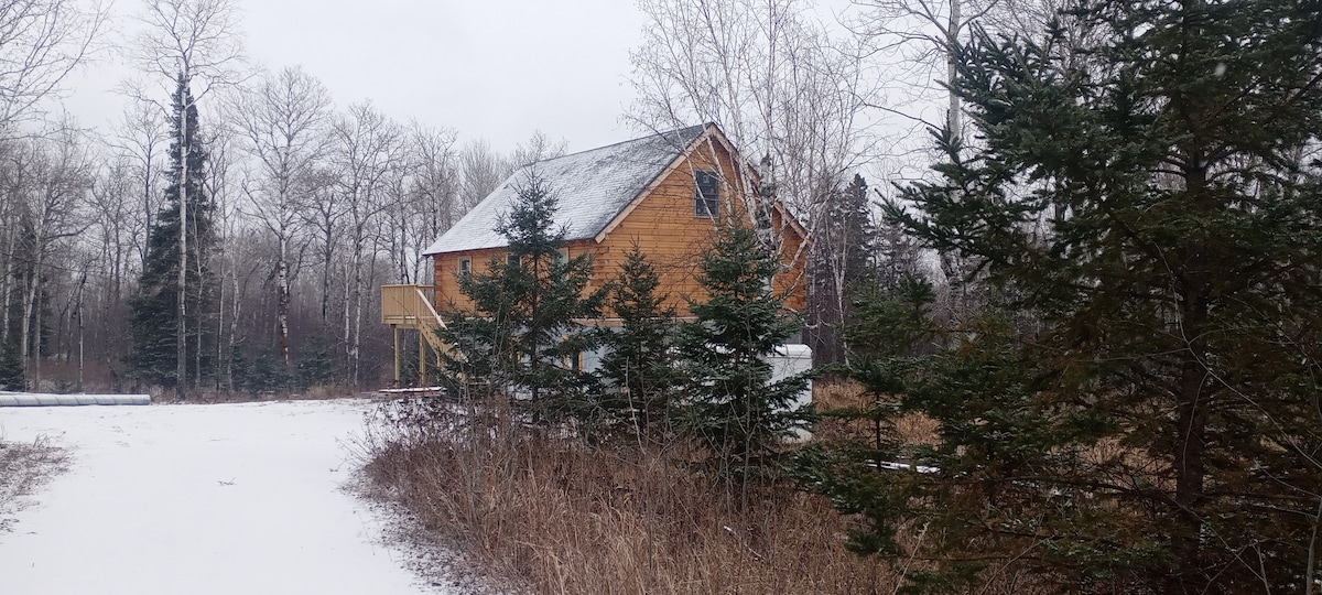 A cozy log cabin is nestled among a snowy landscape, surrounded by tall evergreen trees. Light snow covers the ground, and a gentle canopy of branches provides a natural frame around the cabin's warm wooden exterior, which features gabled roofs and large windows.
