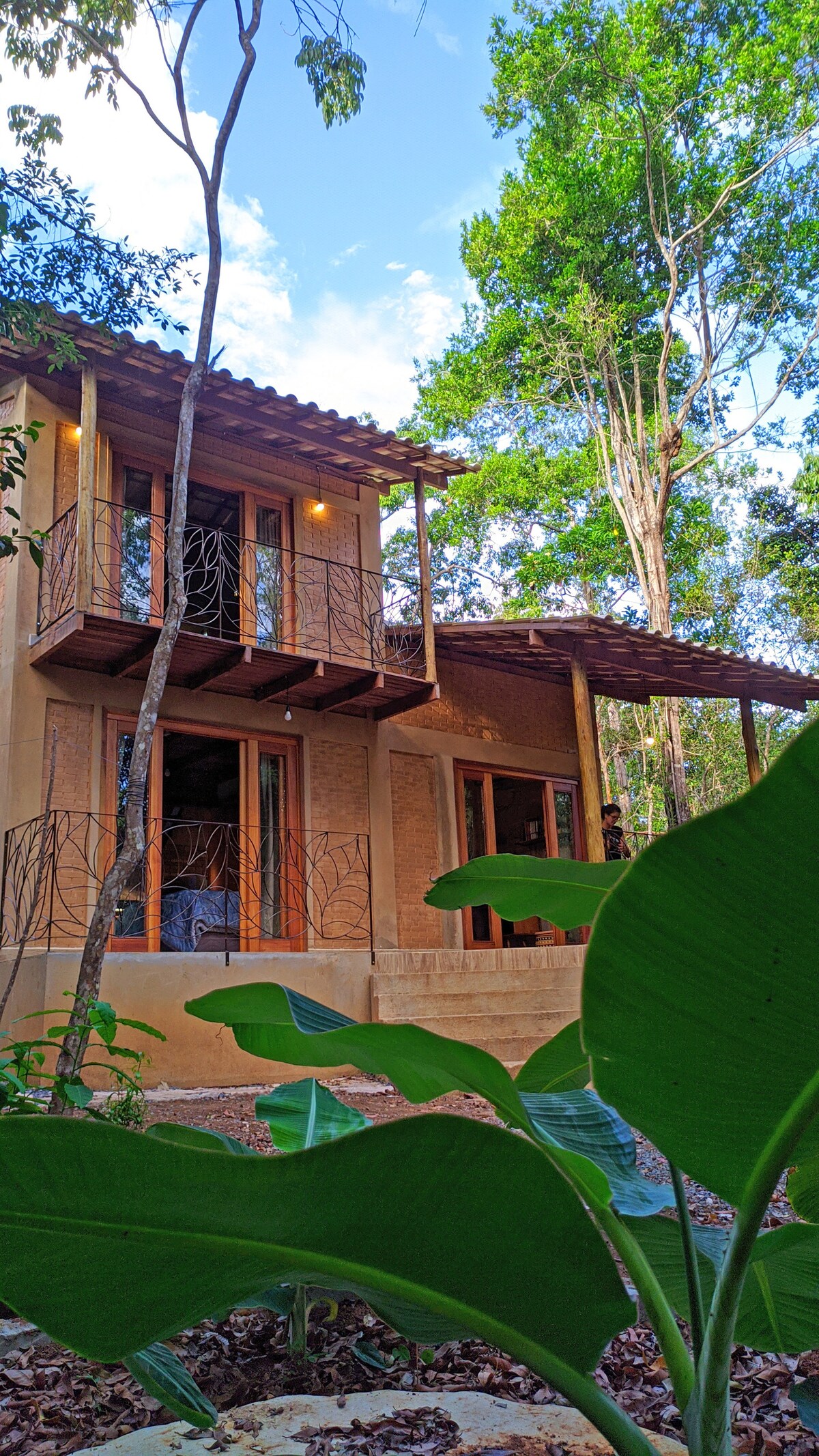 The exterior of the cabin is showcased, featuring natural clay walls and a sloped roof. Large windows with wooden frames allow light to fill the interior. Lush greenery surrounds the space, with tropical plants in the foreground and tall trees in the background.