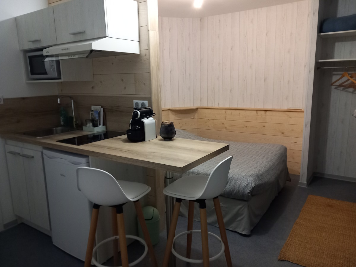 A compact studio features a kitchenette with a microwave and a two-burner stove. A small dining table with two stools is positioned next to the kitchen. A spacious bed is situated against a wooden wall, with a cozy area rug placed on the floor.