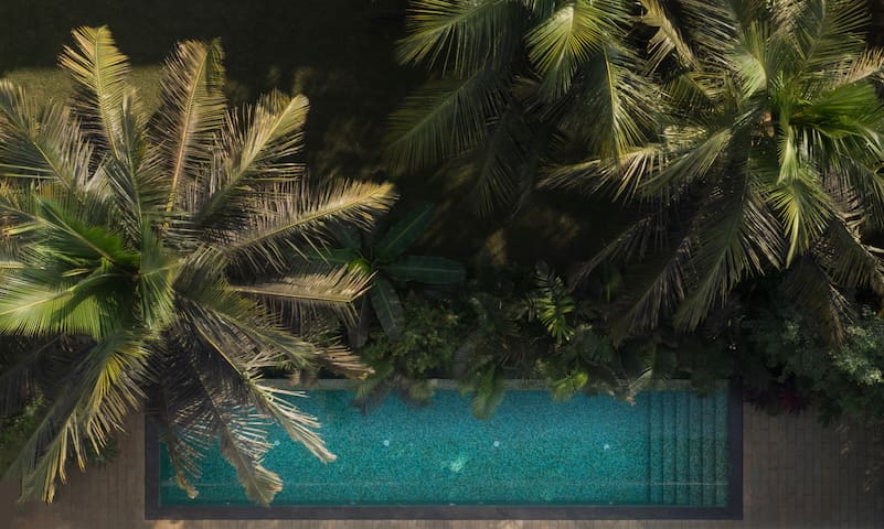 Luxurious 3BHK with Private Pool