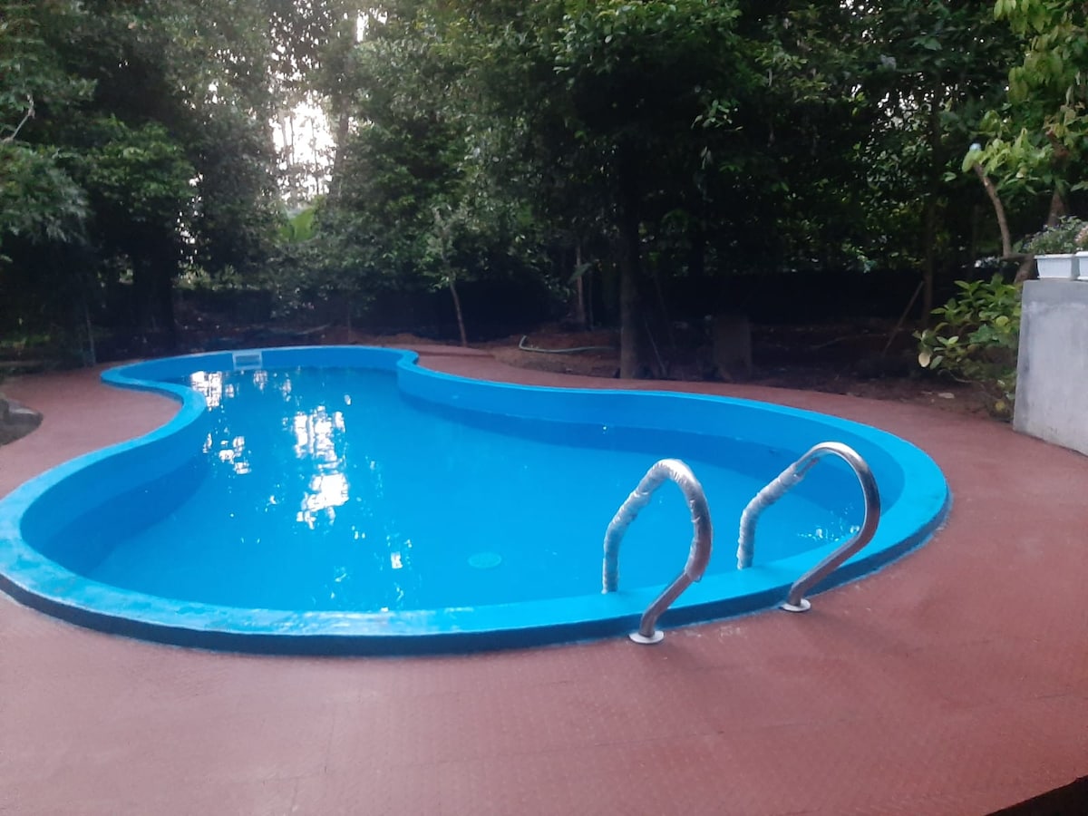 A private swimming pool is surrounded by lush greenery, creating a serene outdoor space. The pool features a smooth, curved design with steps leading in and clear water reflecting the surrounding flora.