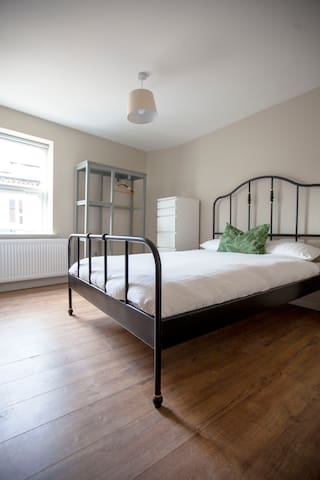 Phoebe gallery image 3