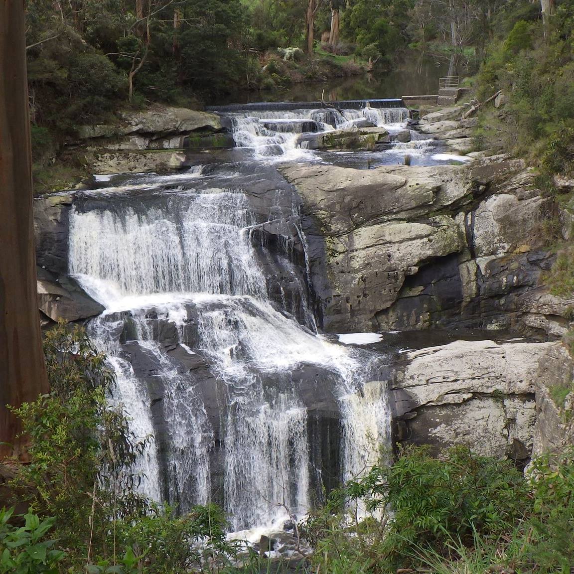 A cascading waterfall flows over layered rock formations, creating a serene scene surrounded by lush greenery. The water glistens in the natural light, and the sound of flowing water enhances the tranquil atmosphere of the natural setting.