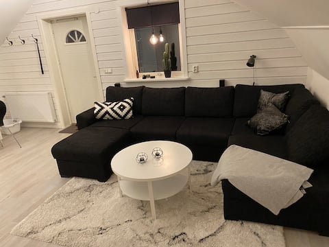 Successful Airbnb property: Apartment in Laholm in Hallands