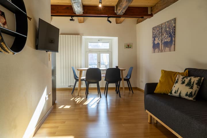Schwarzwald City Apartment - Villingen-Schwenningen